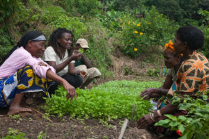 Bäuerinnen in den Uluguru Moutains, Tansania bauen agrarökologisch Nahrung an.