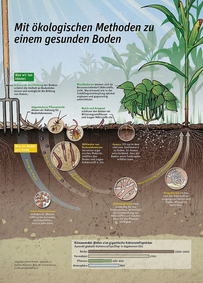 Die Infografik zeigt, wie durch ökologische Methoden ein gesunder Boden gepflegt werden kann.
