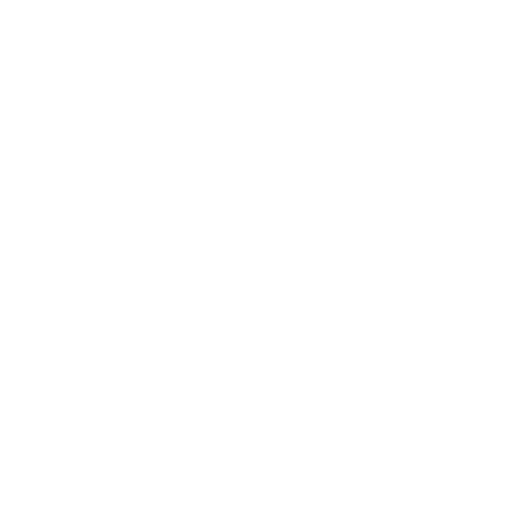 Wirkungsfeld Schweiz