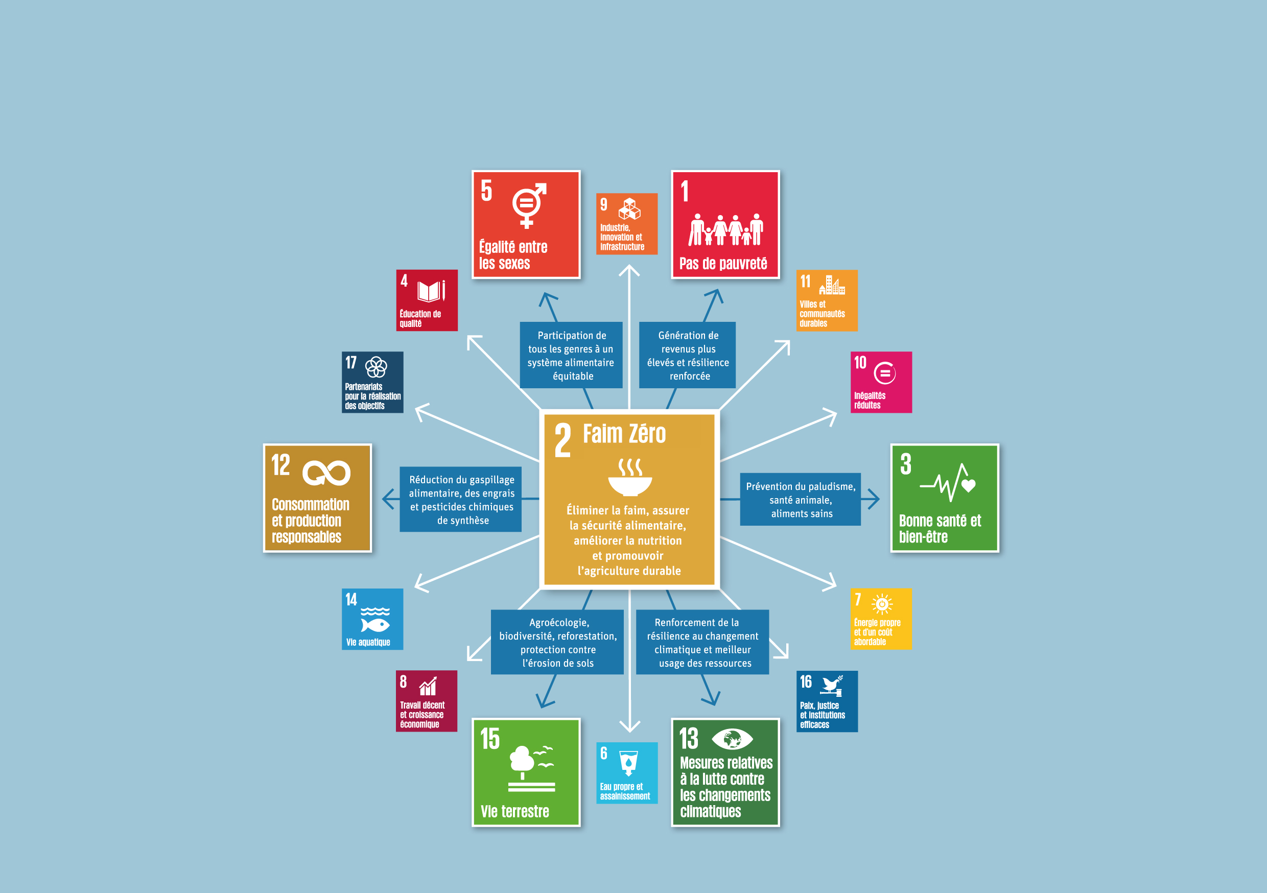 Un graphique des objectifs de développement durable de l'ONU et ceux qui sont au centre du travail de Biovision.