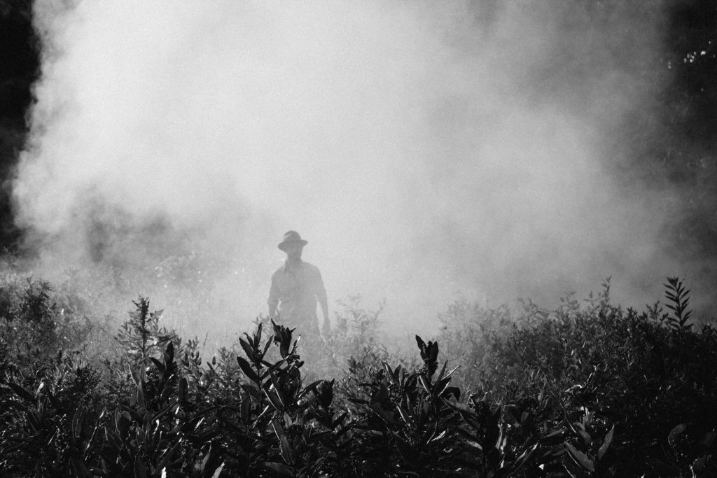 Mann steht im Feld umgeben von Nebel vermutlich vom Versprühen von Pestiziden