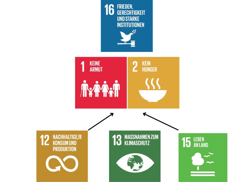 Synergiewirkung SDGs