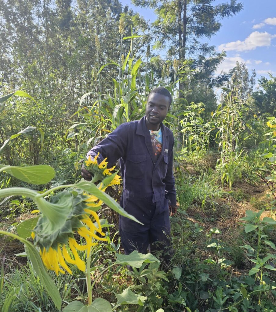 Isaac Mwololo auf seiner Farm in Makueni: Der junge Landwirt setzt auf syntropische Landwirtschaft und beliefert mit seinem Gemüse den Bio-Laden im Armenviertel Viwandani. (Bild: Jamal Mahmoud)