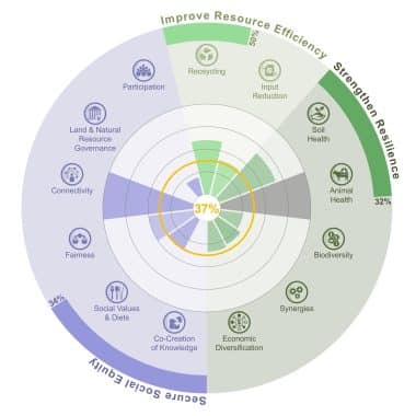 13Principles_BAct-scaled-qe9yknup15rbyu00eu3mjf0dm5hnx6omk96zmfjx7c