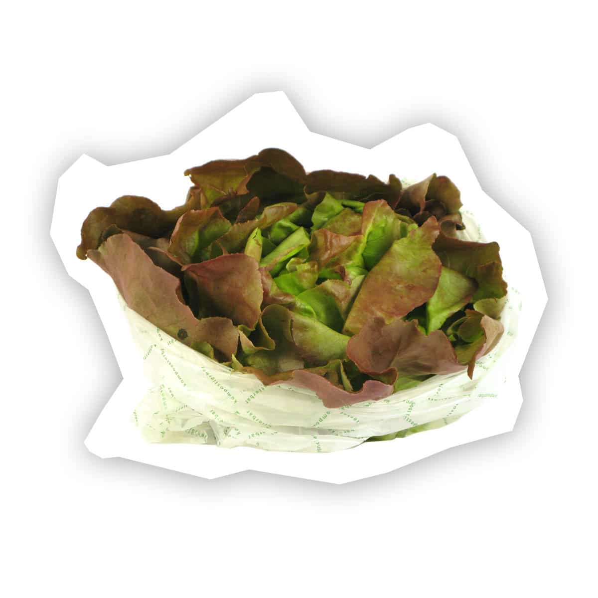 Salade feuille de chêne Demeter