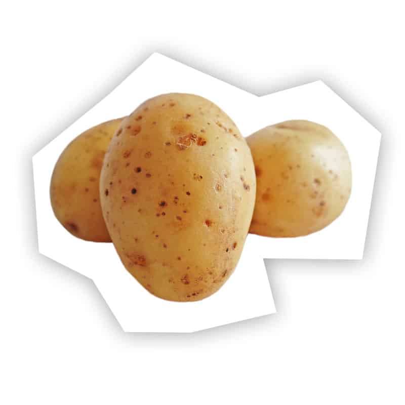 Pommes de terre à chair farineuse