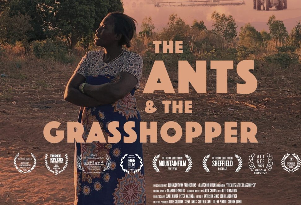 Filmplakat The Ants and the Grasshopper über SFHC Malawi