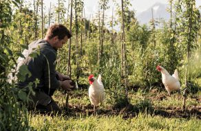 Bauer mit Hühnern im Obstgarten