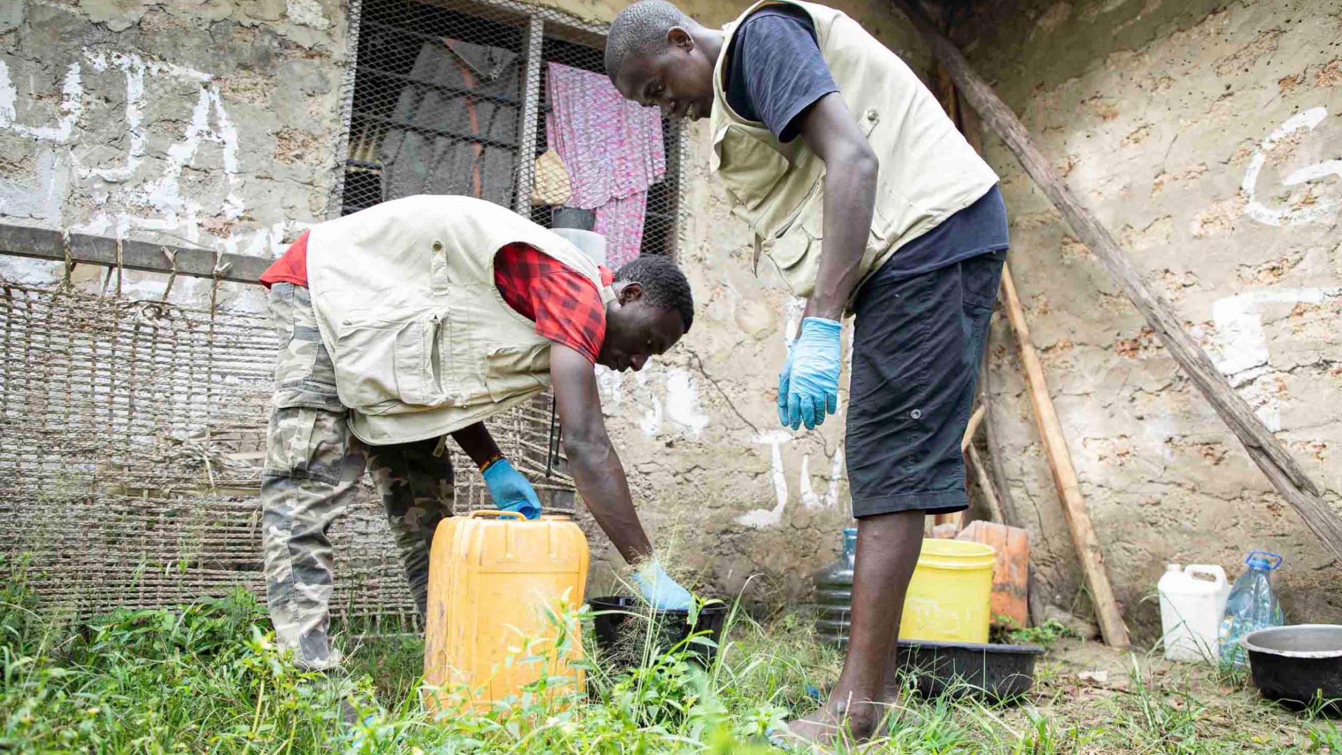 Die CORPs Akiba Bakari Mvumoni und Majaliwa Bakari Zengwa sammeln die Insekten aus einer Klebfalle.