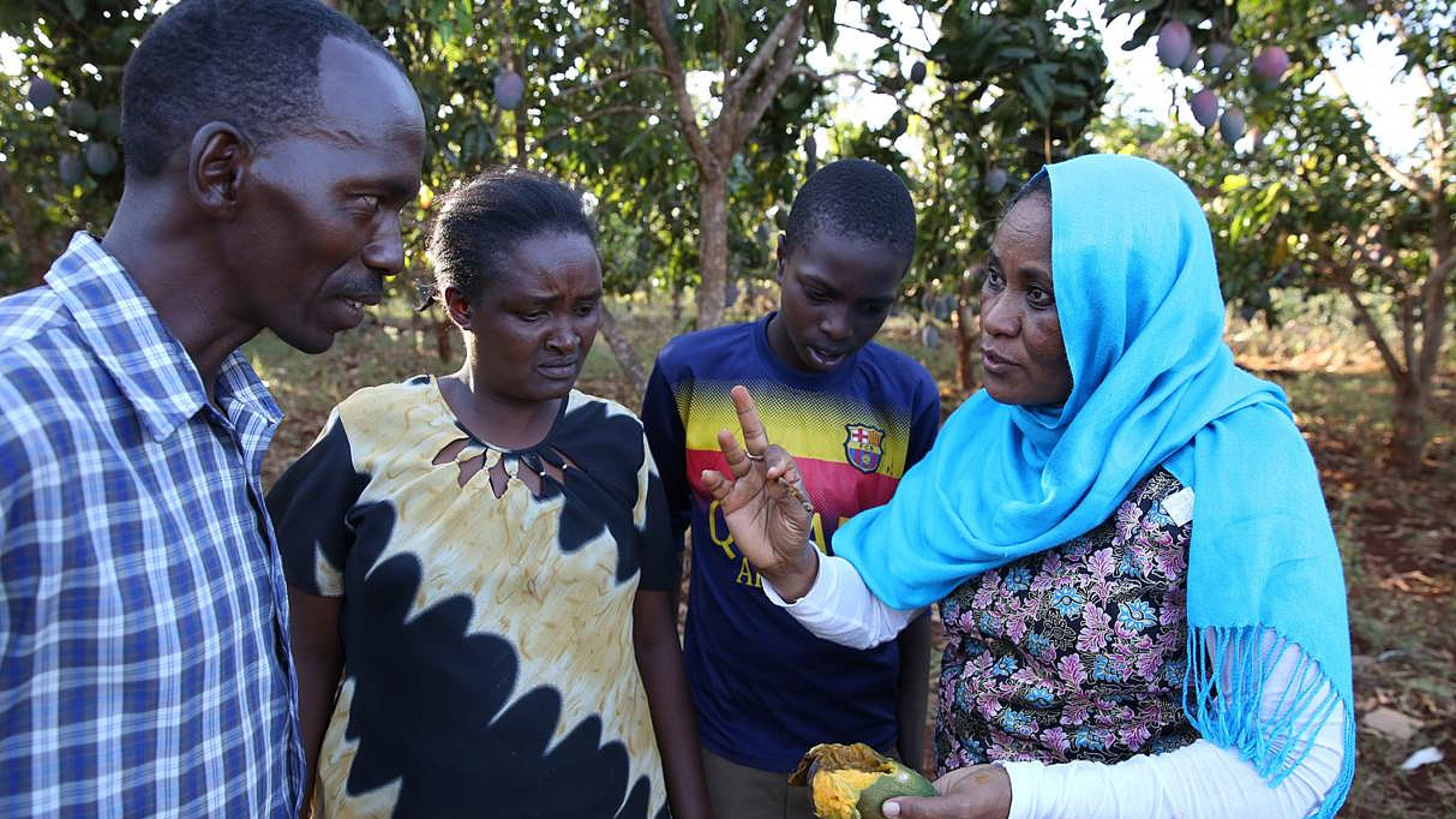 Le Dr Samira A. Mohamed, spécialiste des mouches des fruits à l'icipe, initie les producteurs de mangues aux méthodes de lutte intégrée.
