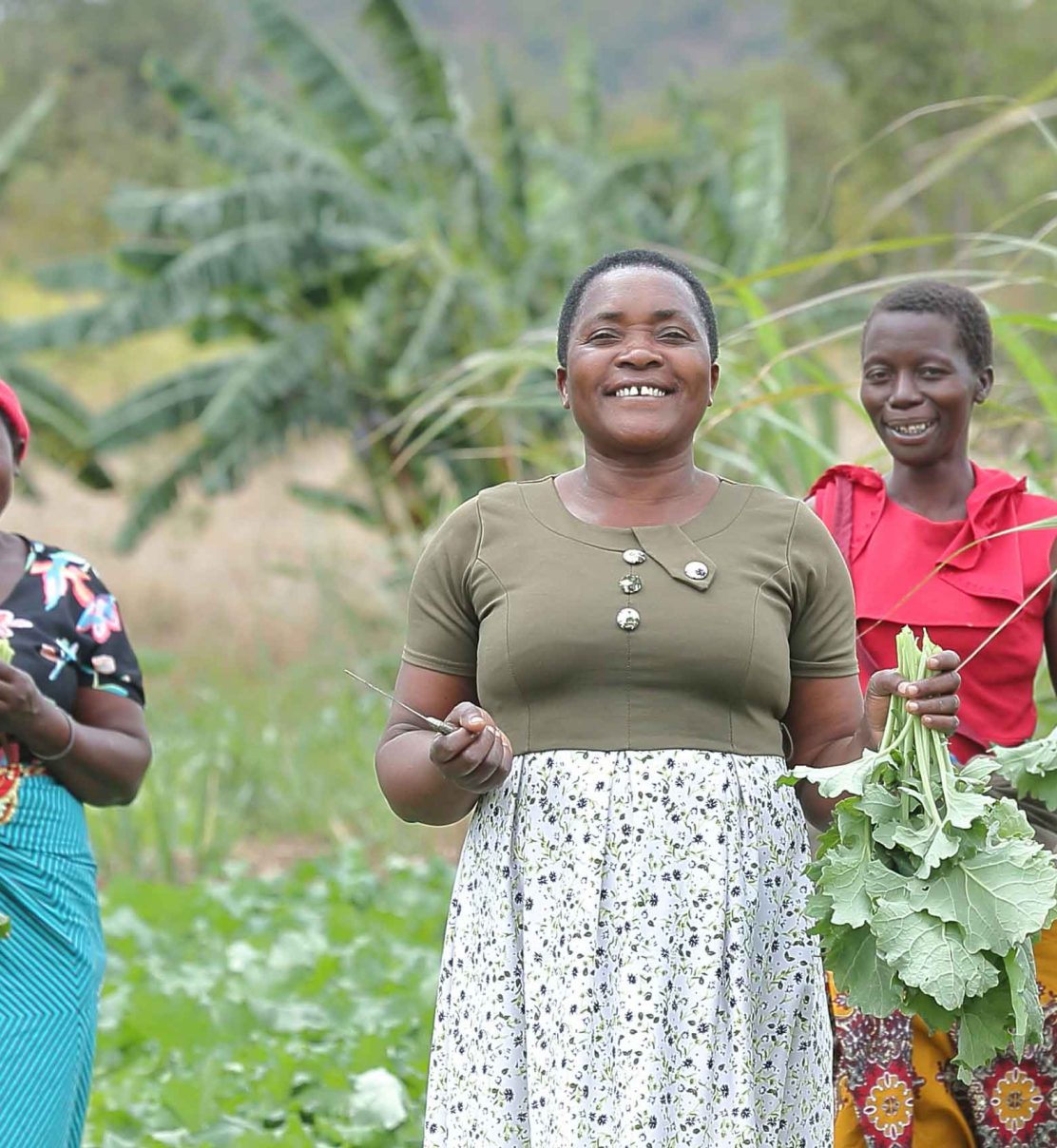 Drei Bäuerinnen aus Malawi präsentieren ihre Ernte.