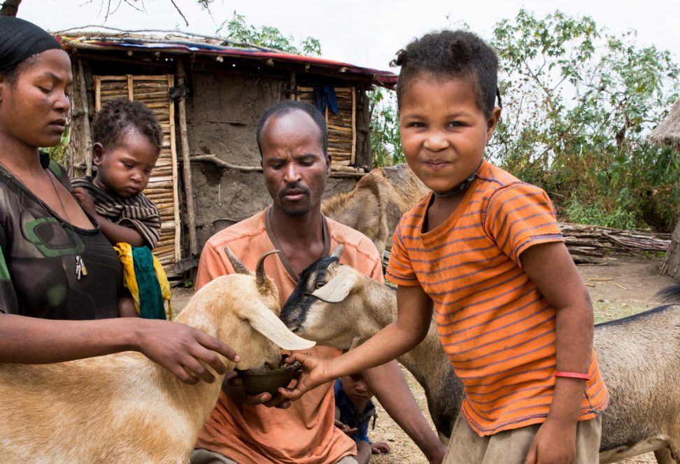Biovision_Siraro_Ethiopia_Krankheitsprävention_Malaria Eine äthiopische Familie füttert ihre Ziege.