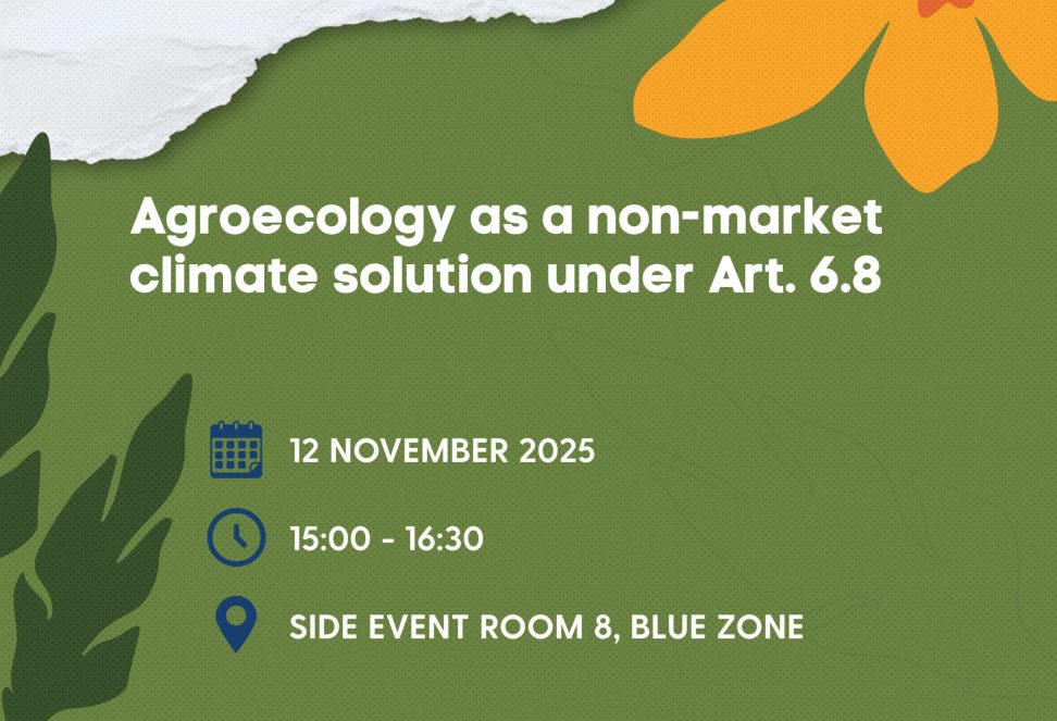 COP30_AE_NMA_SoME_Card