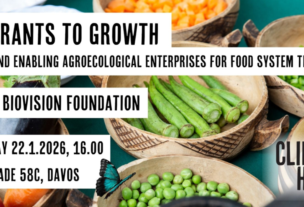 Infopool_ClimateHubDavos_flyer