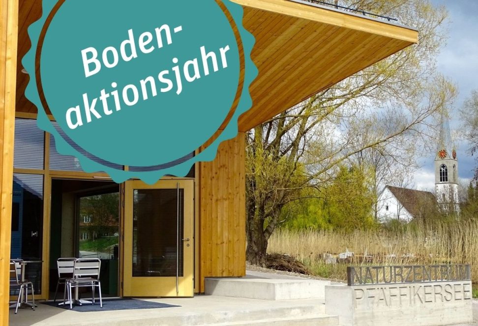 Facebook und Insta square Designs (2)