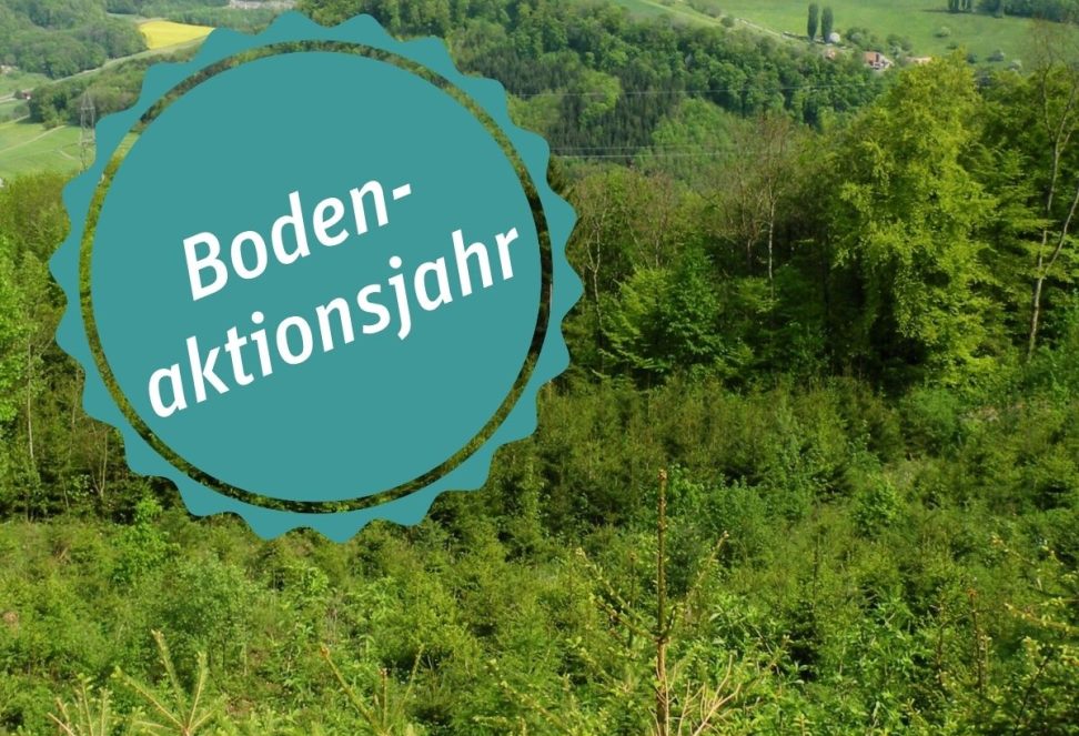 Bodenaktionsjahr