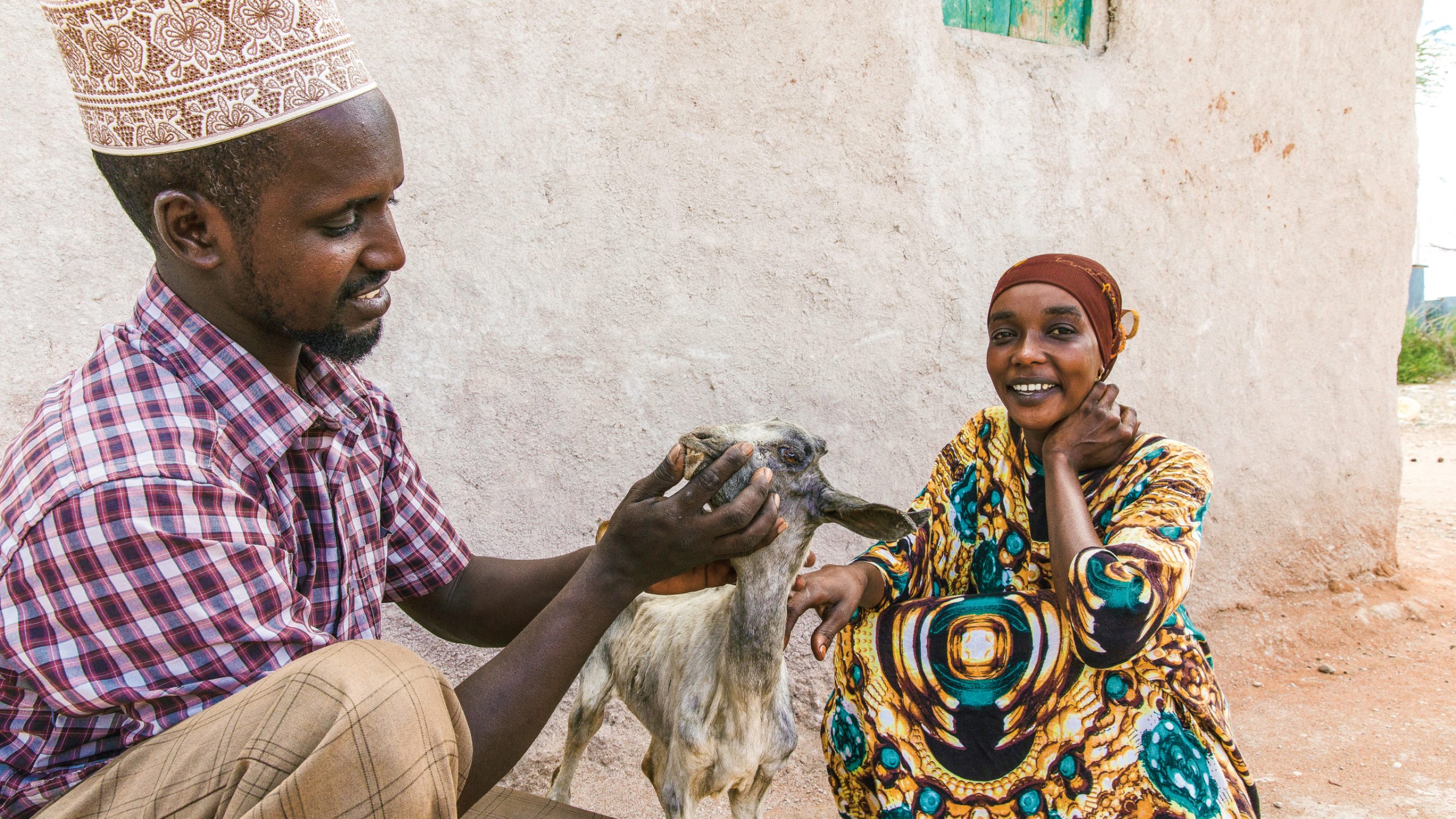 Muktar Kadubada, CDR in Boji examines a young goat kid. He diagnoses a serious worm infestation for which drugs are needed.