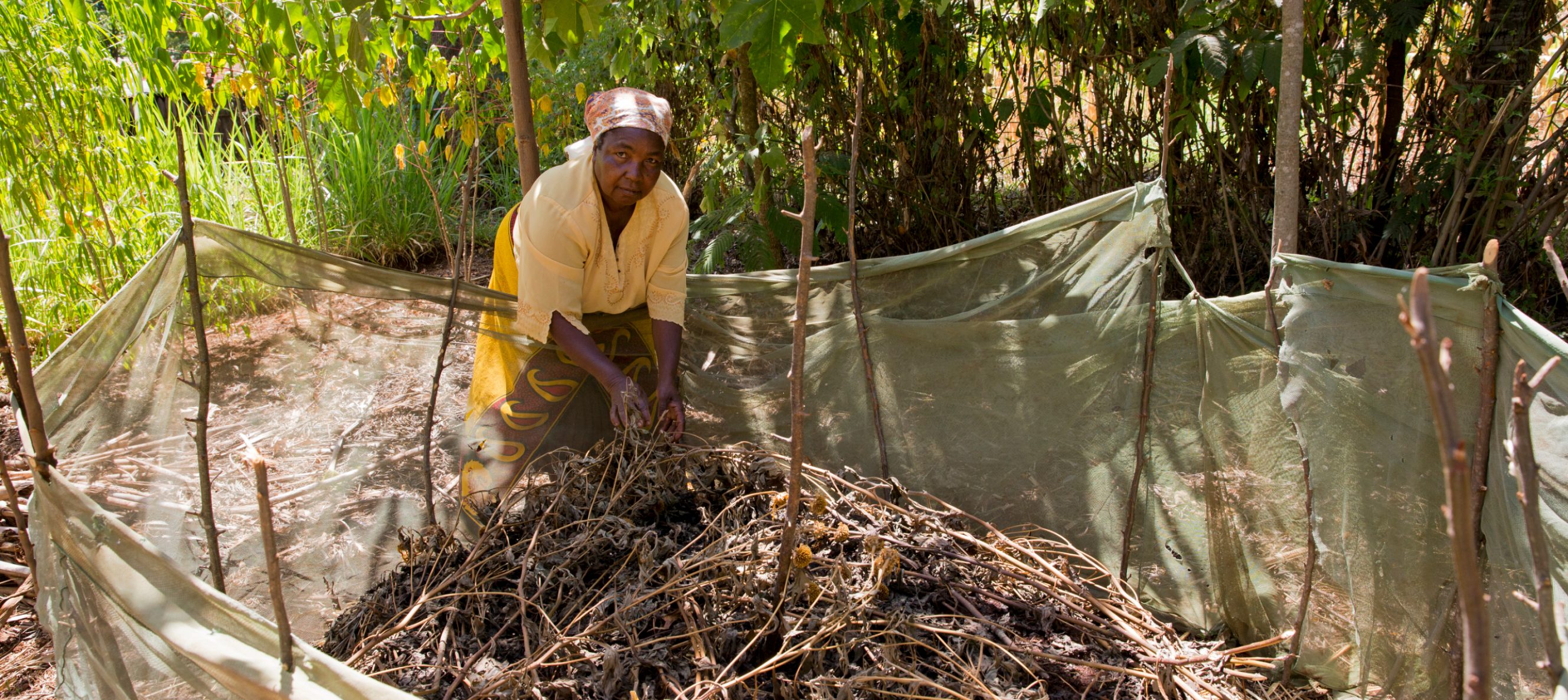 The compost facility is an essential part of her organic farm.
