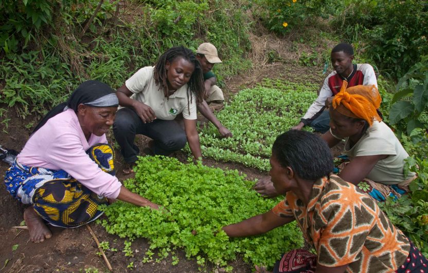 Agricultural school in Tanzania, women farmers receive instruction