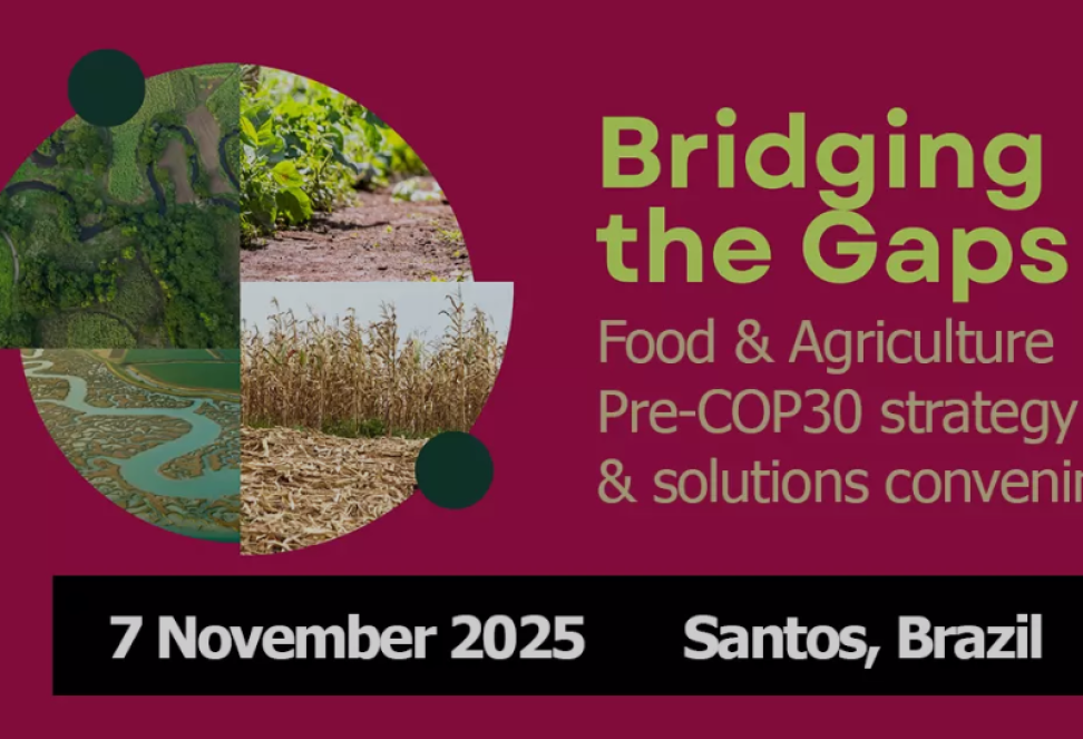 Screenshot 2025-10-17 at 12.06.47