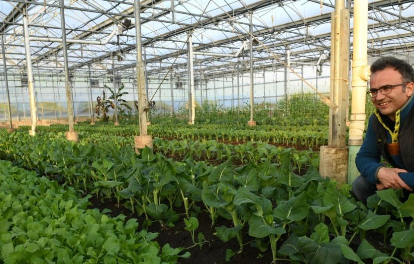 SeedLinked Titelbild