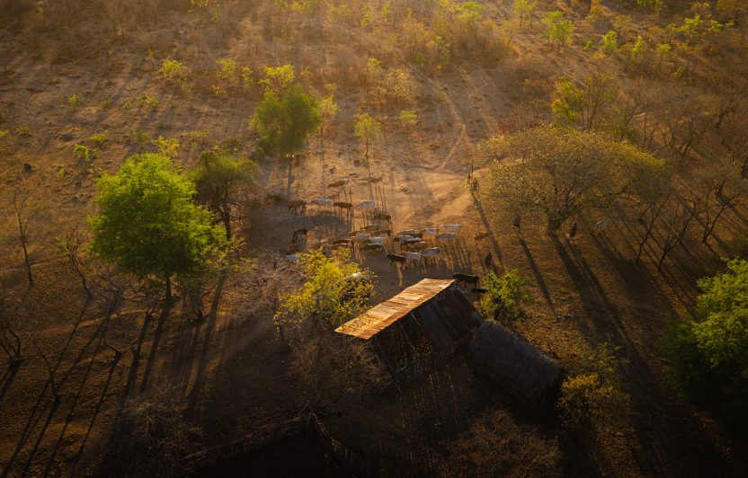 Tarangire National park