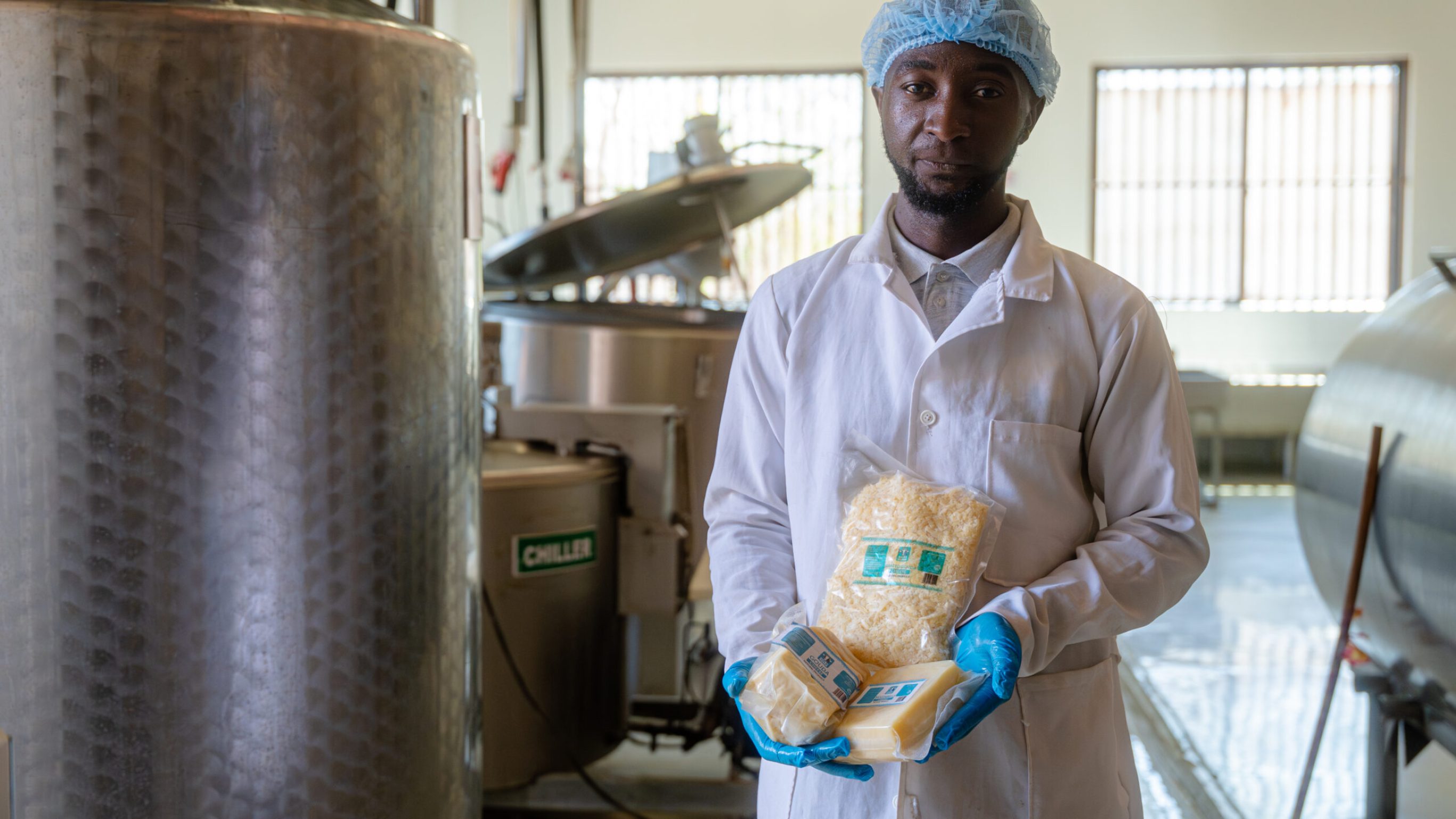 In der Molkerei wird die Milch zu Produkten wie Käse und Joghurt weiterverarbeitet.