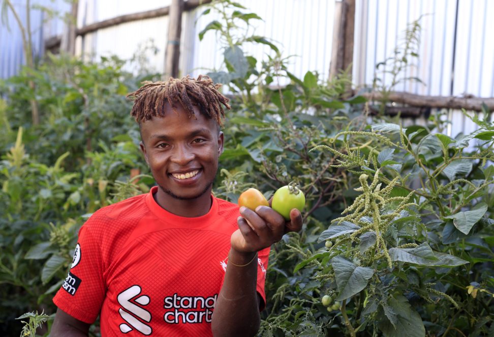 Man vegetables nairobi