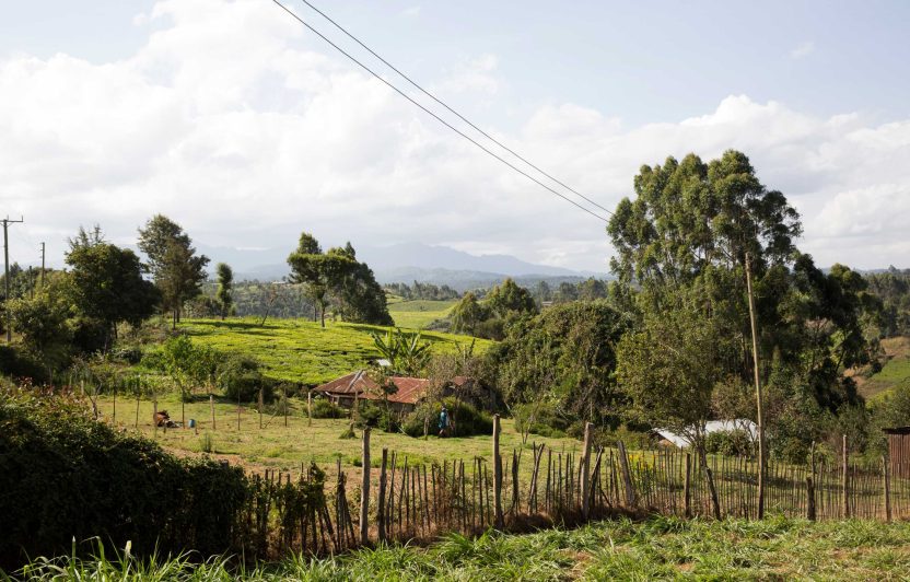 ©Peter-Lüthi_Biovision_SysCom_POR_Kangari-Thika_401A4001 (49372, Standard 2560px)