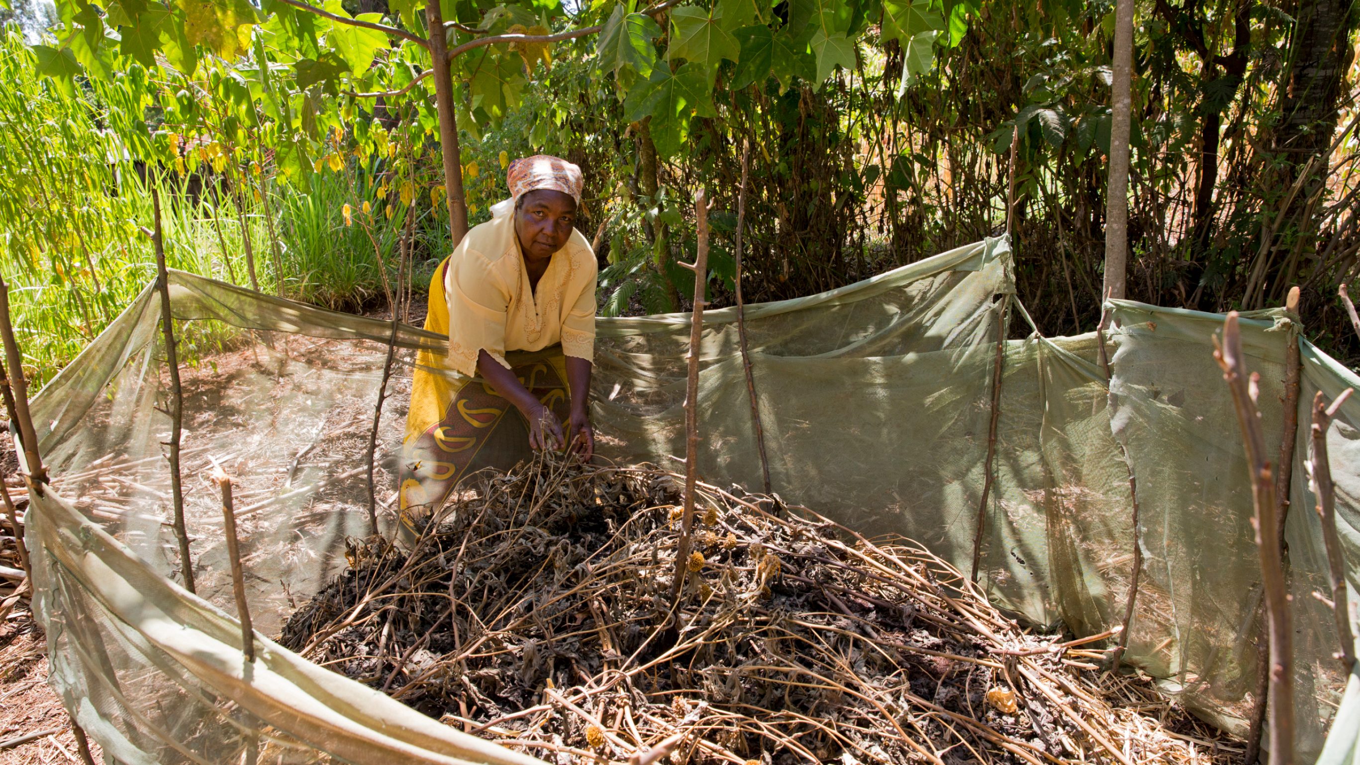 Die kenianische Bäuerin Josephine Ithiru kümmert sich um ihren Kompost.